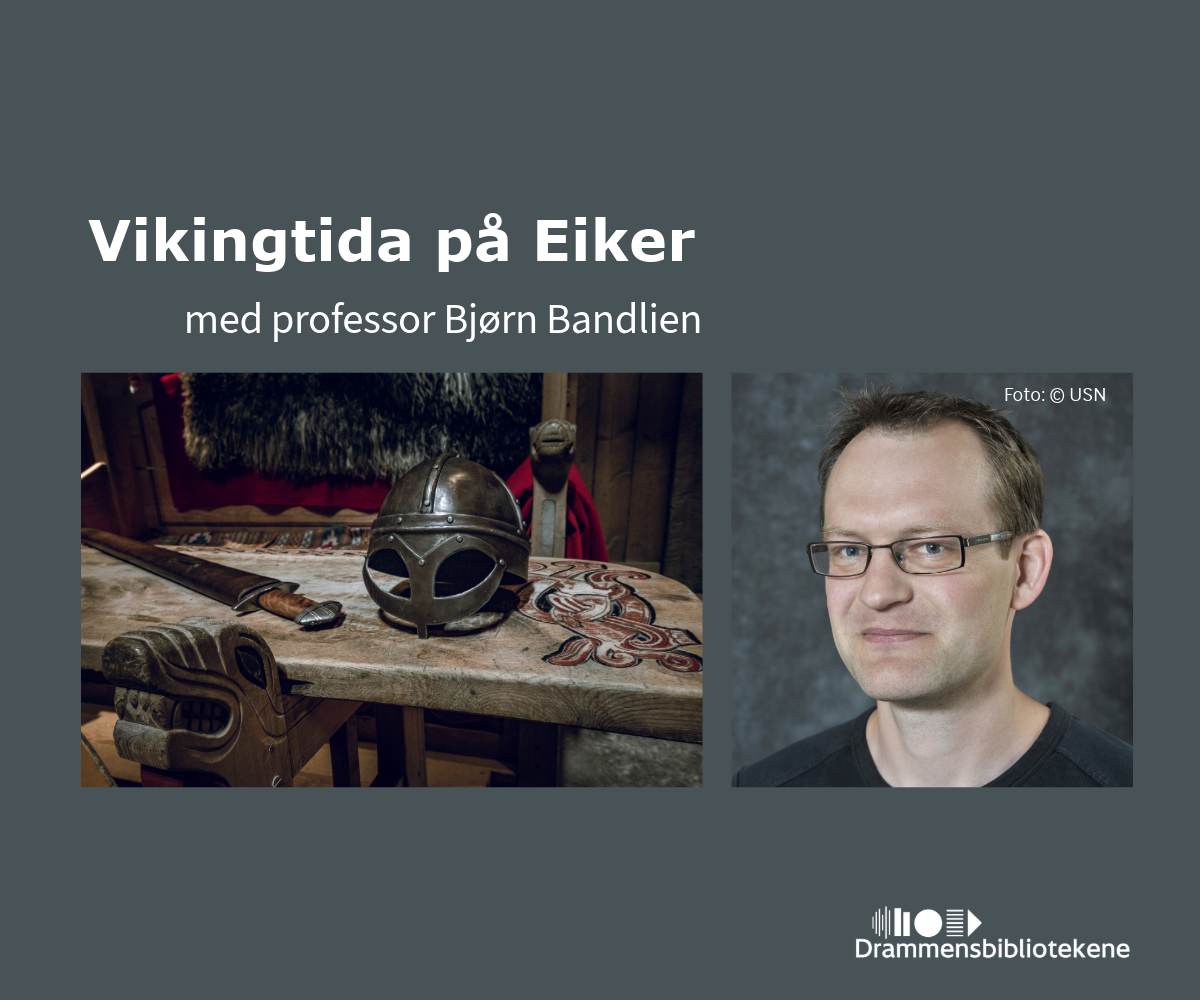 Bilde for Vikingtida på Eiker – med professor Bjørn Bandlien